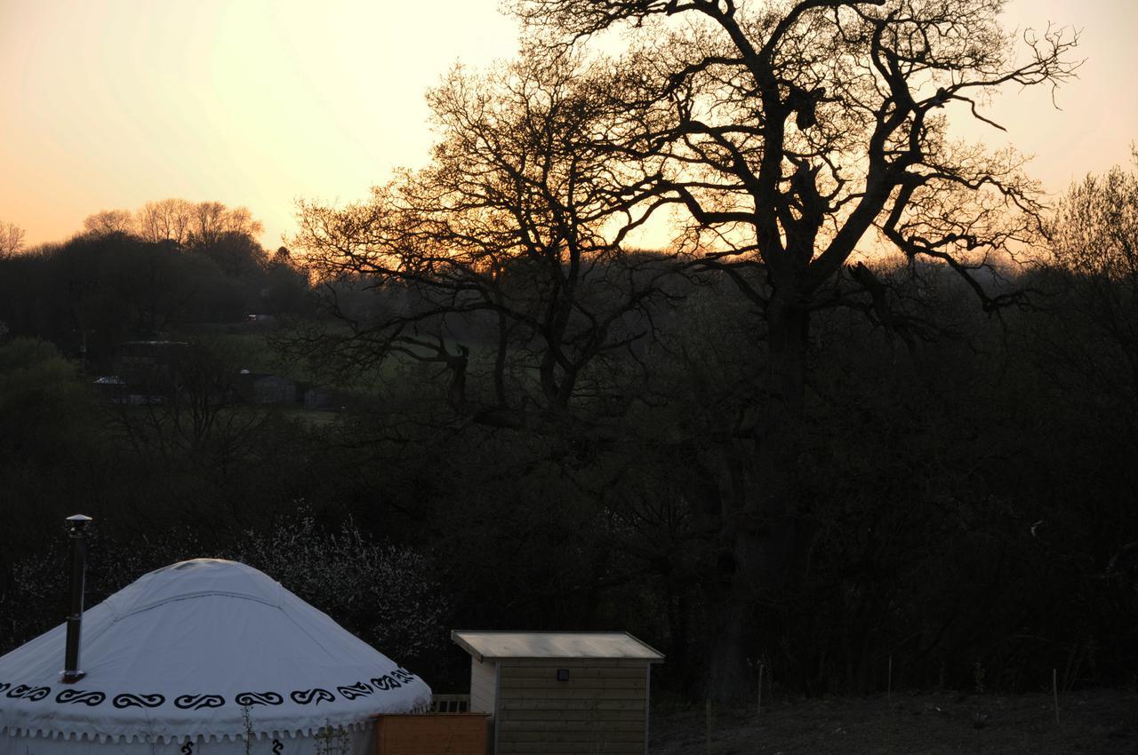 Glamping On The Hill Hotel Mells Kültér fotó